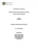 TEMA- INVESTIGACION DE MERCADO...