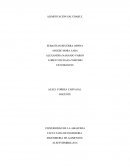 Indice de enfermedades como hipertensión arterial, obesidad, sedentarismo y niveles de desnutrición van en aumento