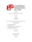 INSPECCIONES DE SEGURIDAD.