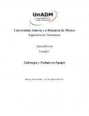 En este ejercicio vamos a tratar de aplicar lo que aprendiste, partiendo de un caso real, para que tu reflexión vaya más allá de la teoría y las definiciones.