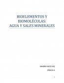 Biomoleculas y bioelementos.