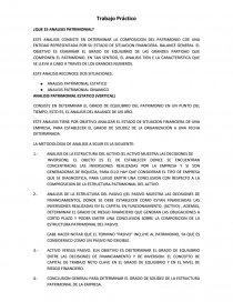 ﻿Trabajo práctico ¿Que es analisis patrimonial?. Página 1