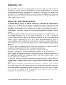 Trabajo importatnte de algo.