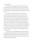 Licenciatura en ciencias religiosas.