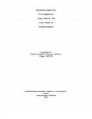 UNIVERSIDAD NACIONAL ABIERTA Y A DISTANCIA.