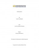 MATRIZ DOFA DE UNA EMPREZA DE CALZADO..