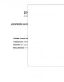 Trabajo práctico: Impuesto sobre los bienes personales.