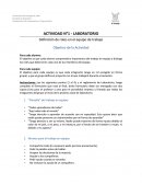 Definición de roles en el equipo de trabajo.