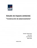 El Gran Estudio de impacto ambiental.