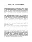 Ensayo el resplandor (libro).