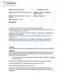 Highwind Traders S de RL de CV deal.