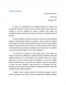 Observacion libre de un parque.