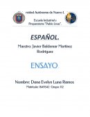 Ensayo de Español.