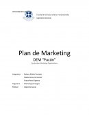 Plan de Marketing DEM “Pucón”