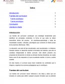 Fuentes del currículum.