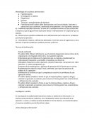 Metodología de la auditoría administrativa.