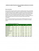 Analisis de Estado Financieros Cementeras Peru.