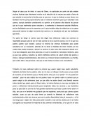 Metacognicion Etapa 4 Orientacion Vocacional.