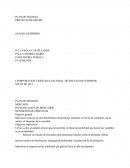 Opción de grado nivel técnico.