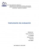 Instrumento de evaluación.