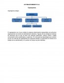 AUTOMANTENIMIENTO S.A. Organigramas.