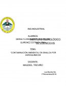 Contaminación ambiental en Sinaloa por agroquímicos
