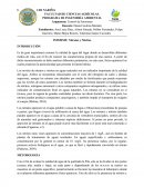 PROGRAMA DE INGENIERÍA AMBIENTAL Asignatura: Control de Emisiones