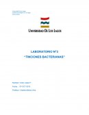 LABORATORIO N°3 “TINCIONES BACTERIANAS”