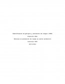 Técnicas en prevención de riesgo en sector productivo