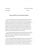 Ensayo escritura- Ley de salarios mínimos