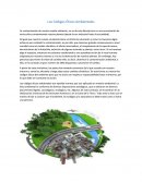 Los Códigos Éticos Ambientales