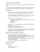 ¿Cuáles son las funciones de la epidermis?