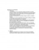 Identificacion de carbohidratos.