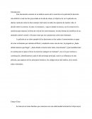 Ensayo Etico La decicion mas dificil