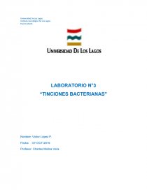 LABORATORIO N°3 “TINCIONES BACTERIANAS”. Página 1