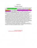 CAPÍTULO I Propiedad en transición