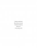 Variables de Segmentación.