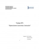 Trabajo Nº1 “Operaciones Concretas: Seriación”