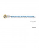 Plan de desarrollo Proyecto