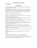 Creación de Tipos de Empresas MICRO EMPRESA