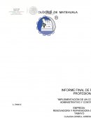 DESCRIPCIÓN DE LAS ACTIVIDADES DESARROLLADAS