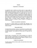 Sinopsis Cooperación y comunicación