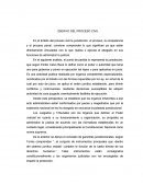 Ensayo del proceso civil
