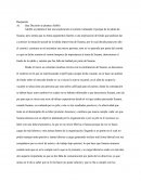 Caso de Susana Navarro