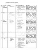 Actividades realizadas en el proyecto