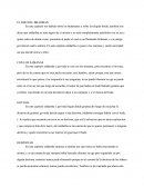 Resumen por capitulo de sidarta