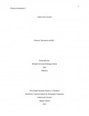 Análisis de Circuitos Practica Laboratorio unidad 1