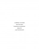 LA EMPRESA Y SUS AREAS . Fundamentos de la administración