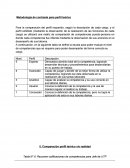 Metodología de contraste para perfil teórico