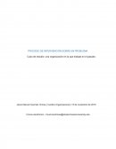 PROCESO DE INTERVENCIÓN SOBRE UN PROBLEMA Caso de estudio: una organización en la que trabaje en el pasado.